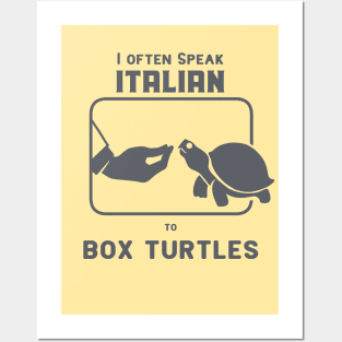 Funny Italian hand gesture and eastern box turtle Posters and Art